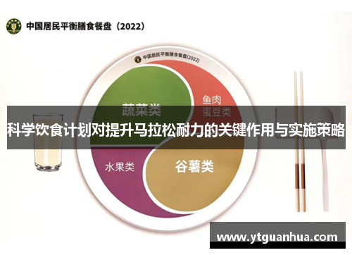 科学饮食计划对提升马拉松耐力的关键作用与实施策略